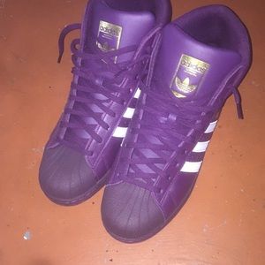Adidas pro model shell toes